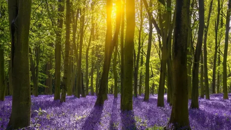 AdobeStock_82879935-825x465